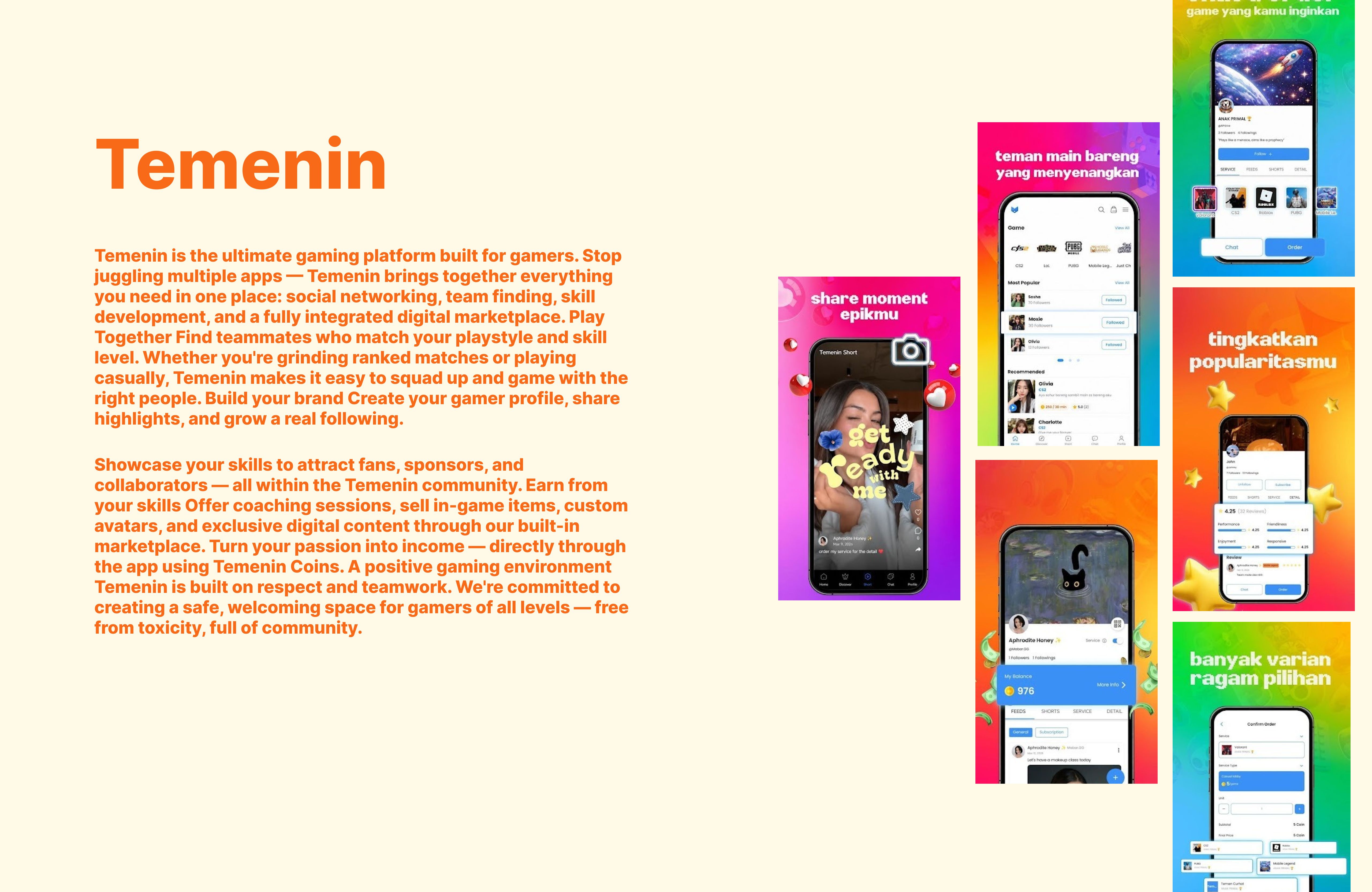 Temenin project cover